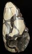Polished Septarian Geode Sculpture - Barite Crystals #47470-3